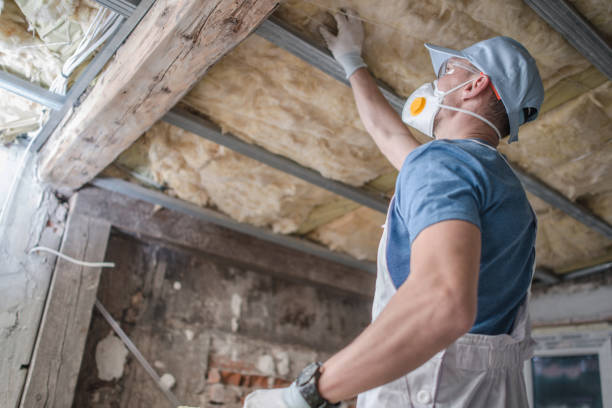 Best Types of Insulation in Quinlan, TX