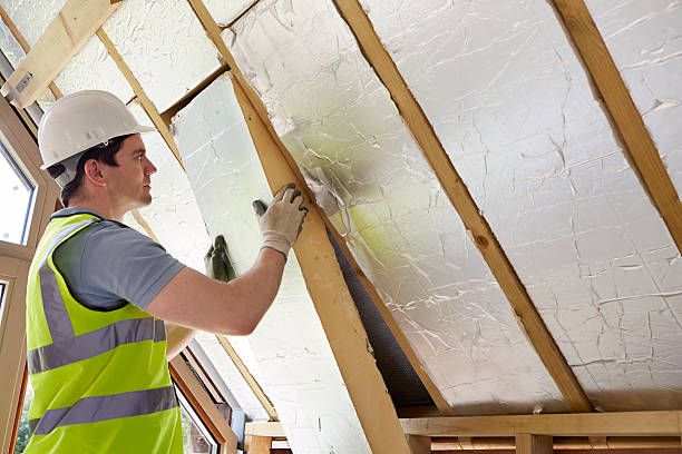 Best Residential Insulation in Quinlan, TX