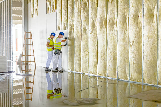 Best Insulation Installation Services in Quinlan, TX